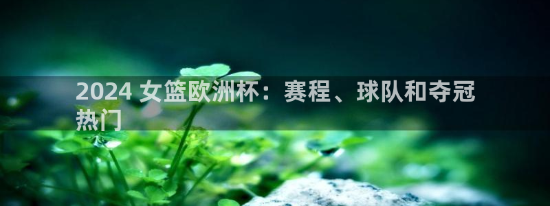 2024年欧洲杯投注：2024 女篮欧洲杯：赛程、球队和夺冠
热门