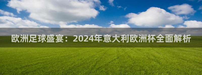 网上哪个平台可以买足球|欧洲足球盛宴：2024年意大利欧洲杯全面解析