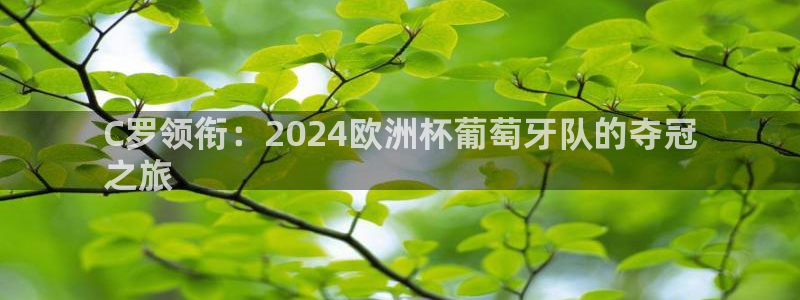 欧洲杯2024下单|C罗领衔：2024欧洲杯葡萄牙队的夺冠
之旅