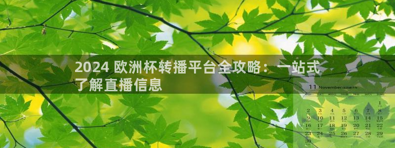 欧洲杯投注官方网站入口|2024 欧洲杯转播平台全攻略：一站式
了解直播信息