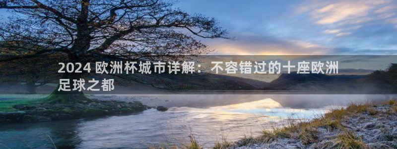 2024欧洲杯押注官网