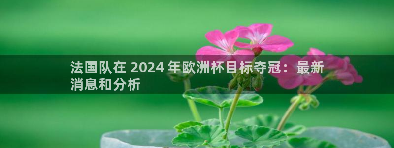 欧洲杯买球网|法国队在 2024 年欧洲杯目标夺冠：最新
消息和分析