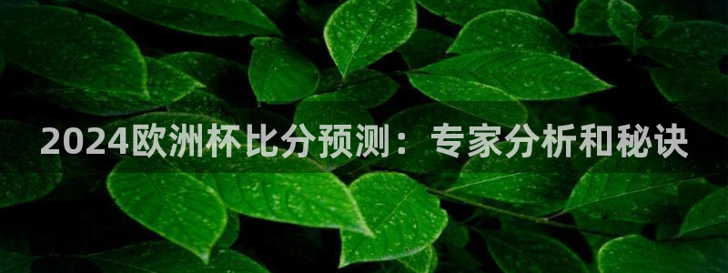 欧洲杯2024下单|2024欧洲杯比分预测：专家分析和秘诀