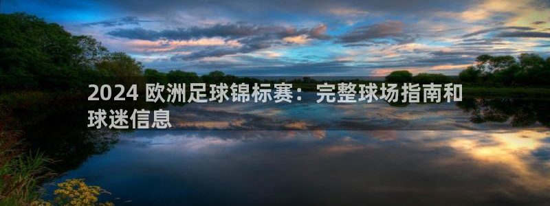 2024年欧洲杯投注|2024 欧洲足球锦标赛：完整球场指南和
球迷信息