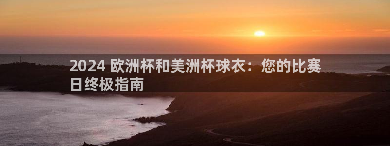 欧洲杯投注入口官网|2024 欧洲杯和美洲杯球衣：您的比赛
日终极指南