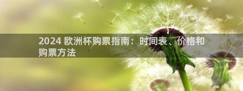欧洲杯网站|2024 欧洲杯购票指南：时间表、价格和
购票方法