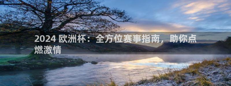 欧洲杯可以买冠亚军吗|2024 欧洲杯：全方位赛事指南，助你点
燃激情
