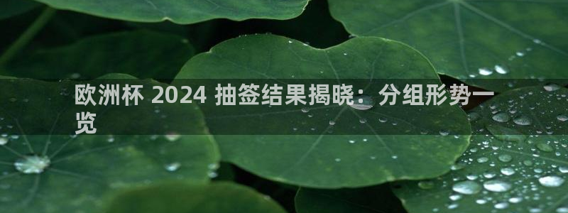 足球赌注平台app