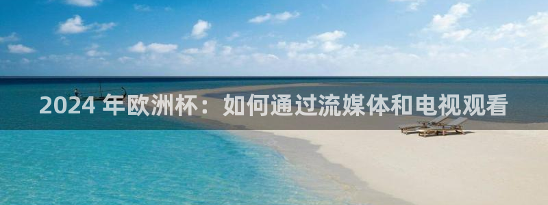 2024欧洲杯官方网站首页|2024 年欧洲杯：如何通过流媒体和电视观看