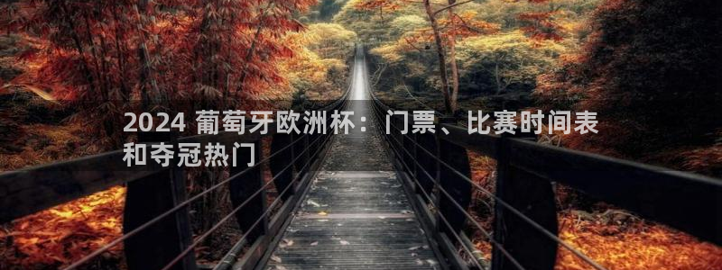 放心购买足球平台|2024 葡萄牙欧洲杯：门票、比赛时间表
和夺冠热门